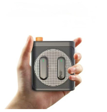 Беспроводная система громкоговоритель 25H